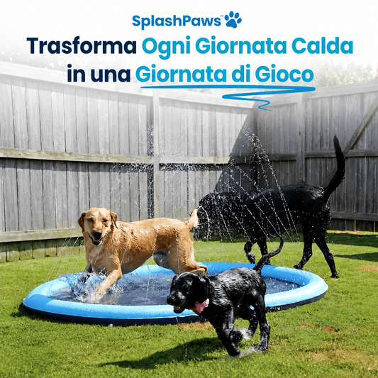 SplashPaws™ – Ogni Giornata di Sole Diventa un Giorno di Gioco