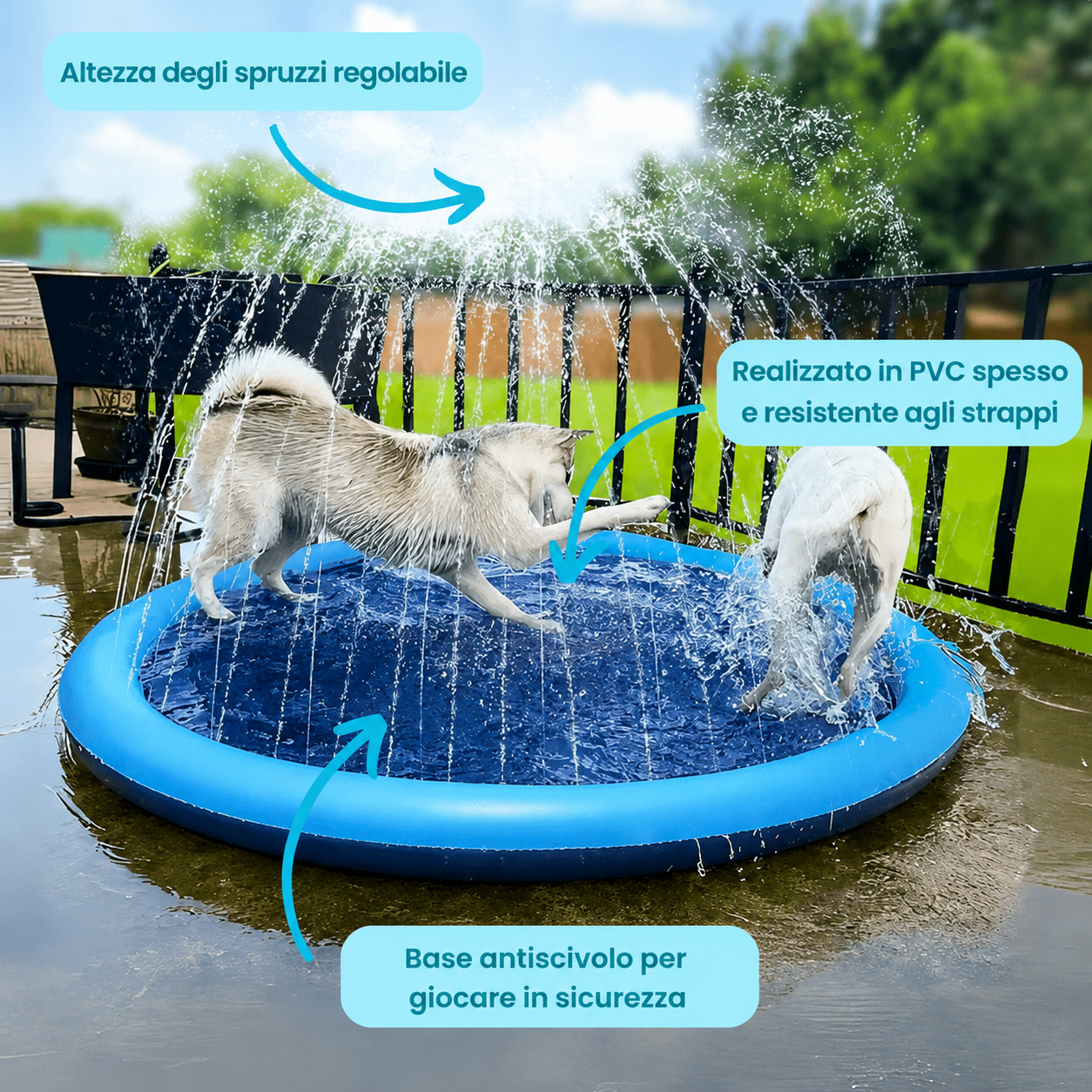 SplashPaws™ – Ogni Giornata di Sole Diventa un Giorno di Gioco