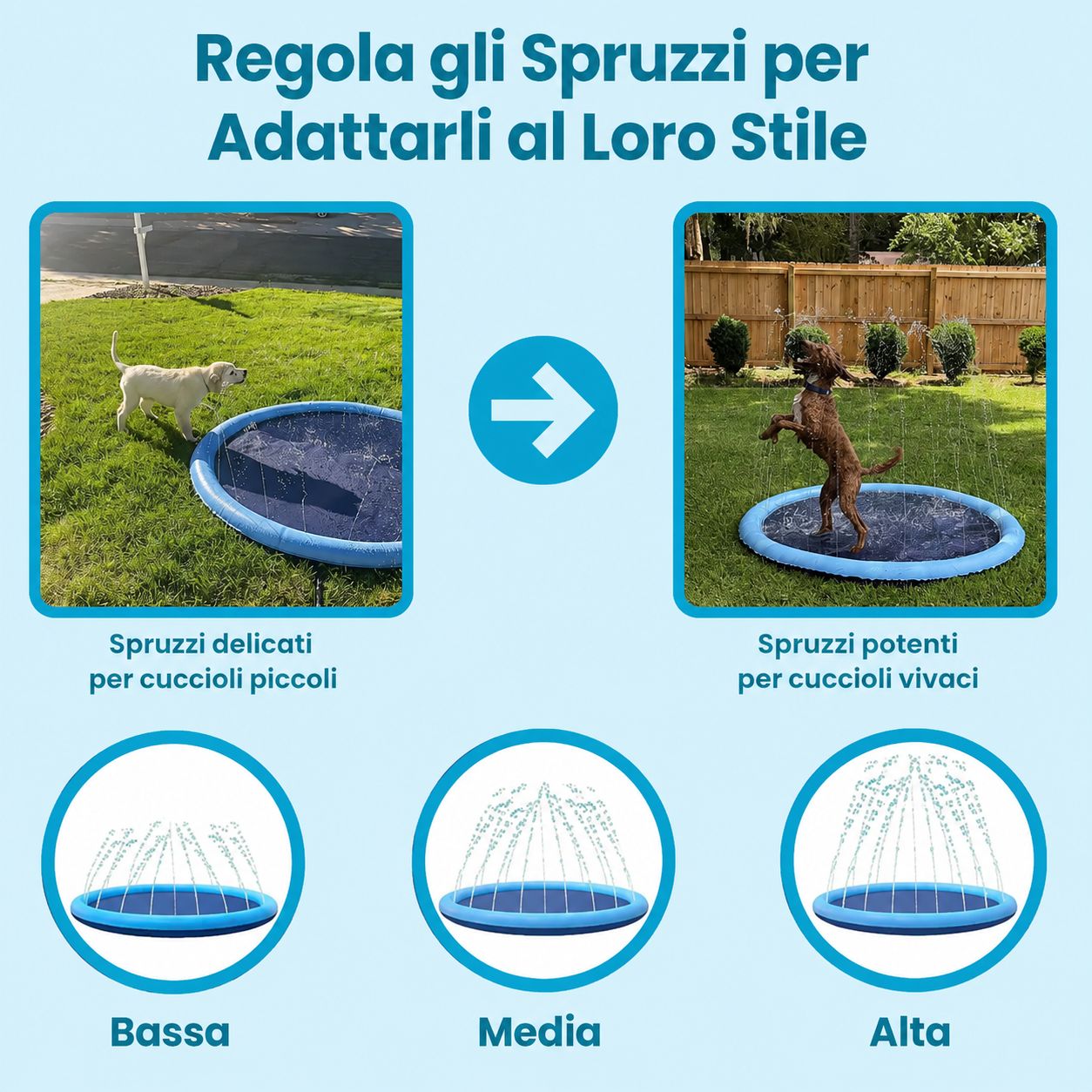 SplashPaws™ – Ogni Giornata di Sole Diventa un Giorno di Gioco