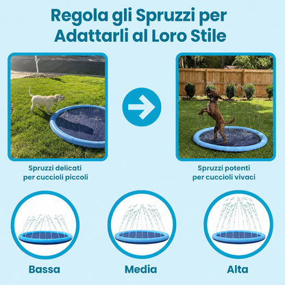SplashPaws™ – Ogni Giornata di Sole Diventa un Giorno di Gioco