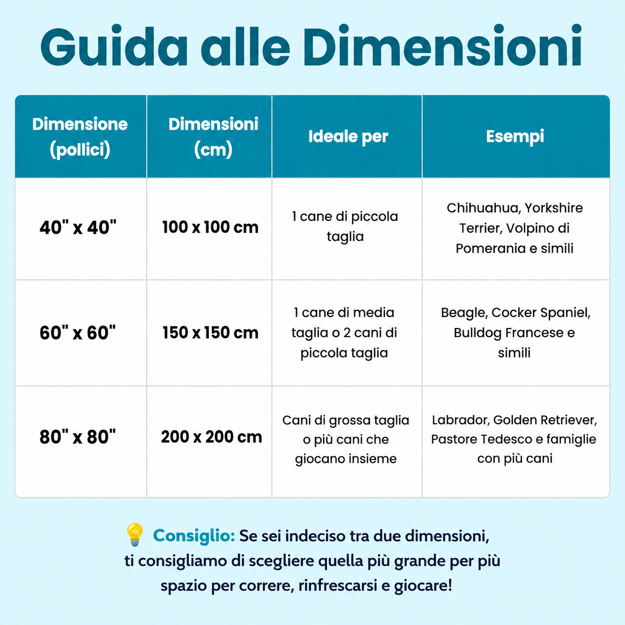 SplashPaws™ – Ogni Giornata di Sole Diventa un Giorno di Gioco