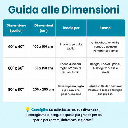SplashPaws™ – Ogni Giornata di Sole Diventa un Giorno di Gioco