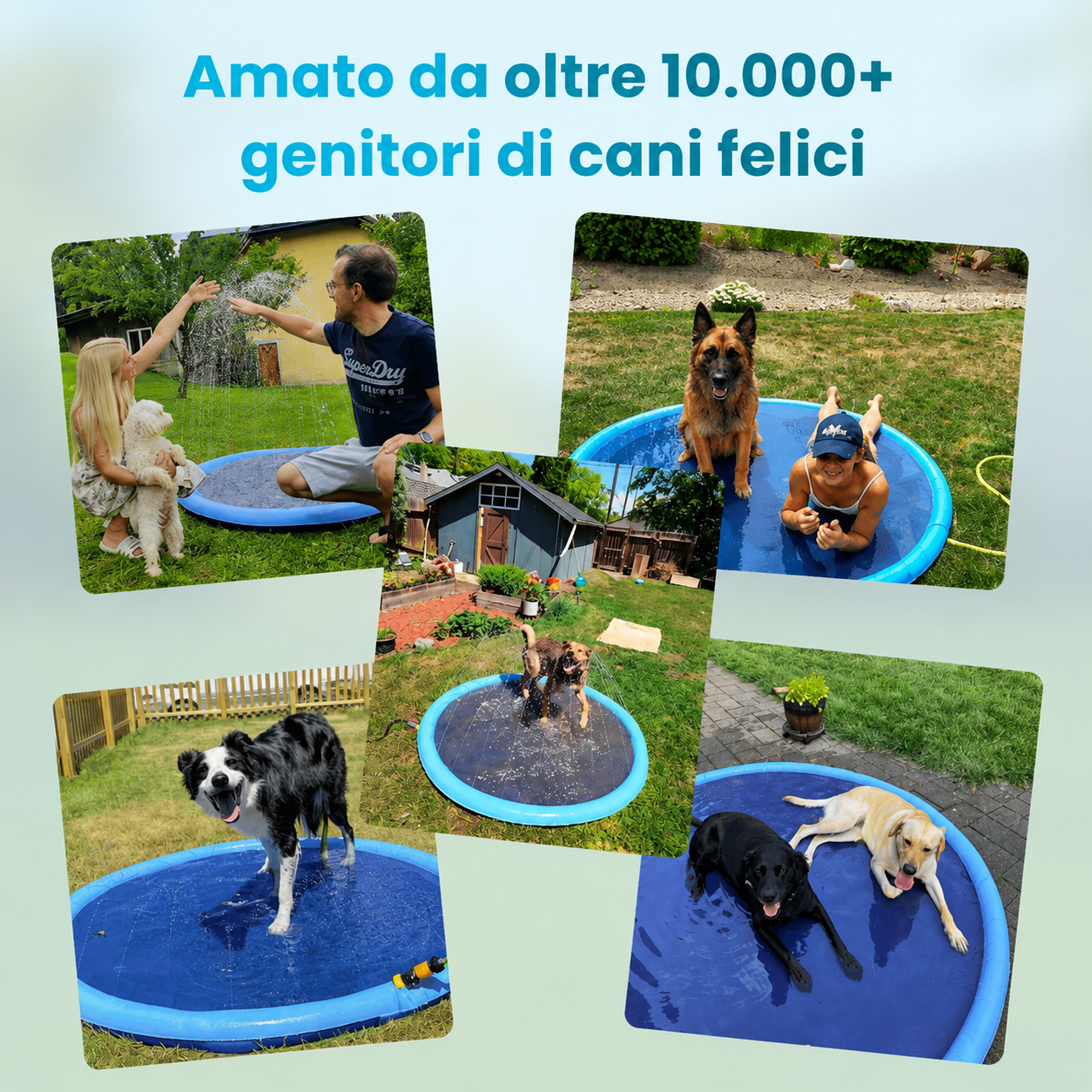 SplashPaws™ – Ogni Giornata di Sole Diventa un Giorno di Gioco