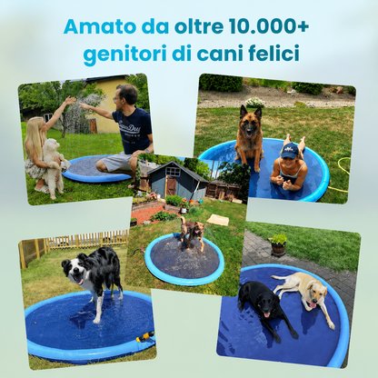 SplashPaws™ – Ogni Giornata di Sole Diventa un Giorno di Gioco
