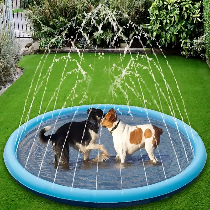 SplashPaws™ – Ogni Giornata di Sole Diventa un Giorno di Gioco